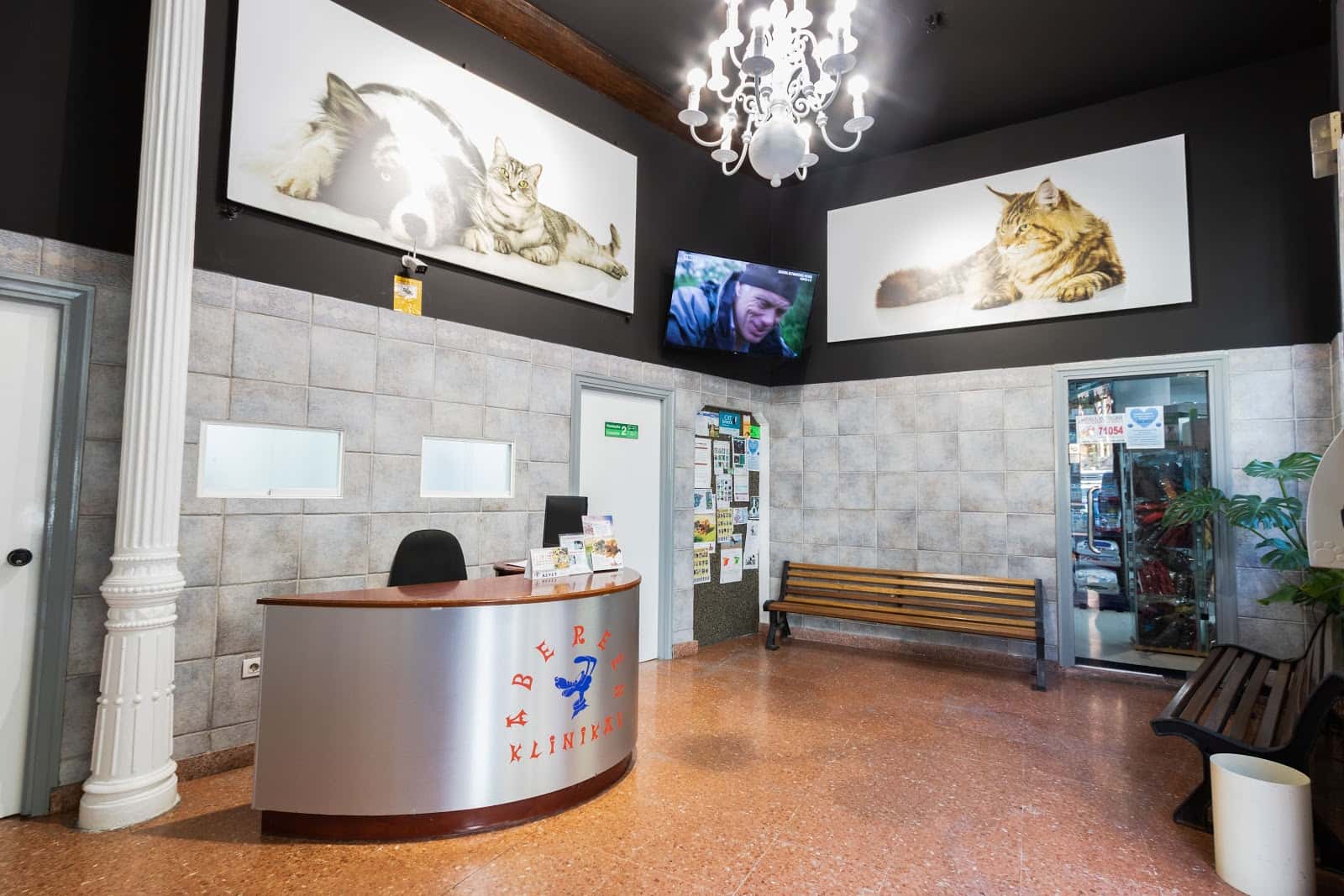 hospital veterinario elkano  grupo abereen klinikak  veterinario hospital en bilbo en bizkaia principalImage ADOPTA Sitios Pet Friendly