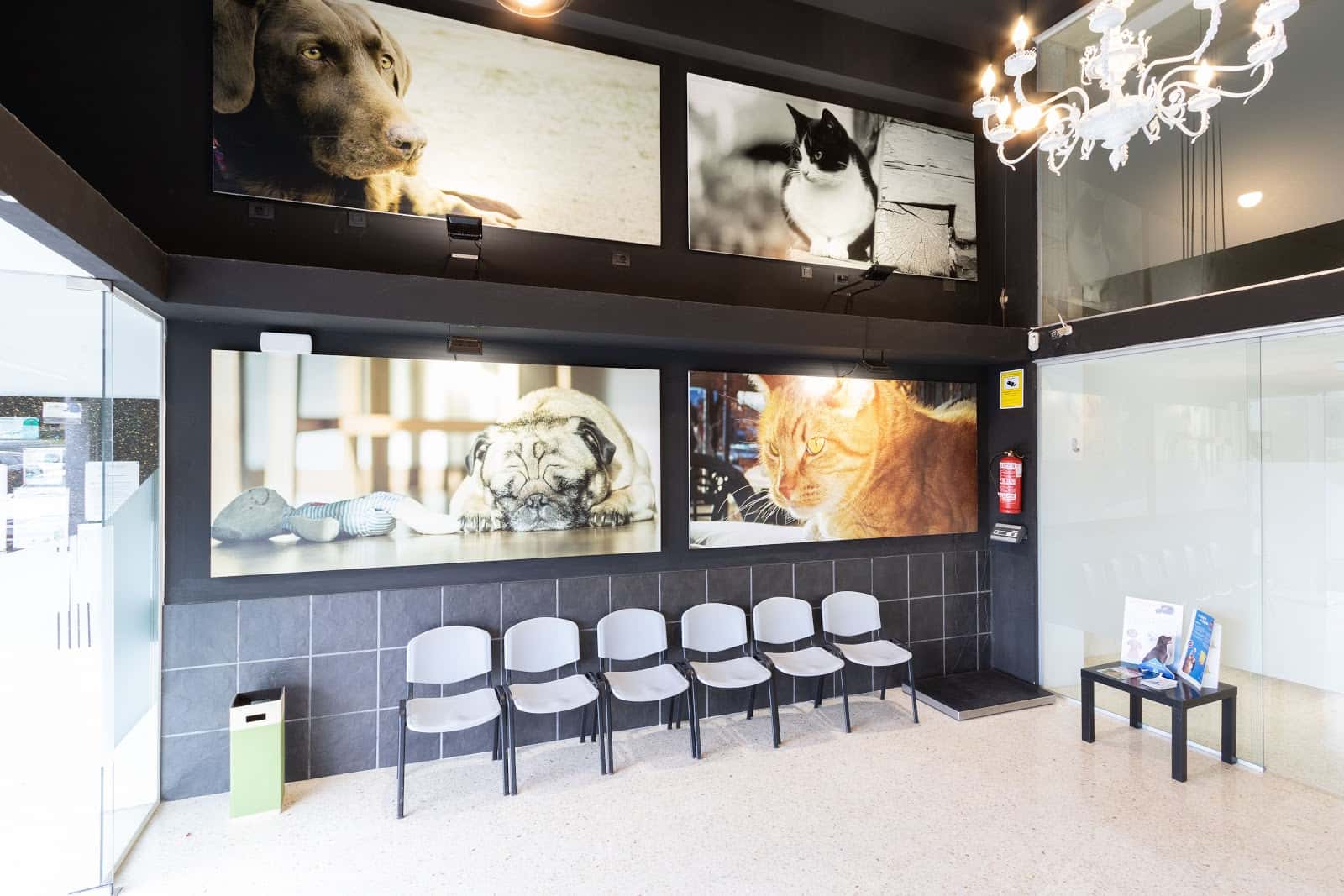 Hospital Veterinario Zumalakarregi "Grupo Abereen Klinikak"