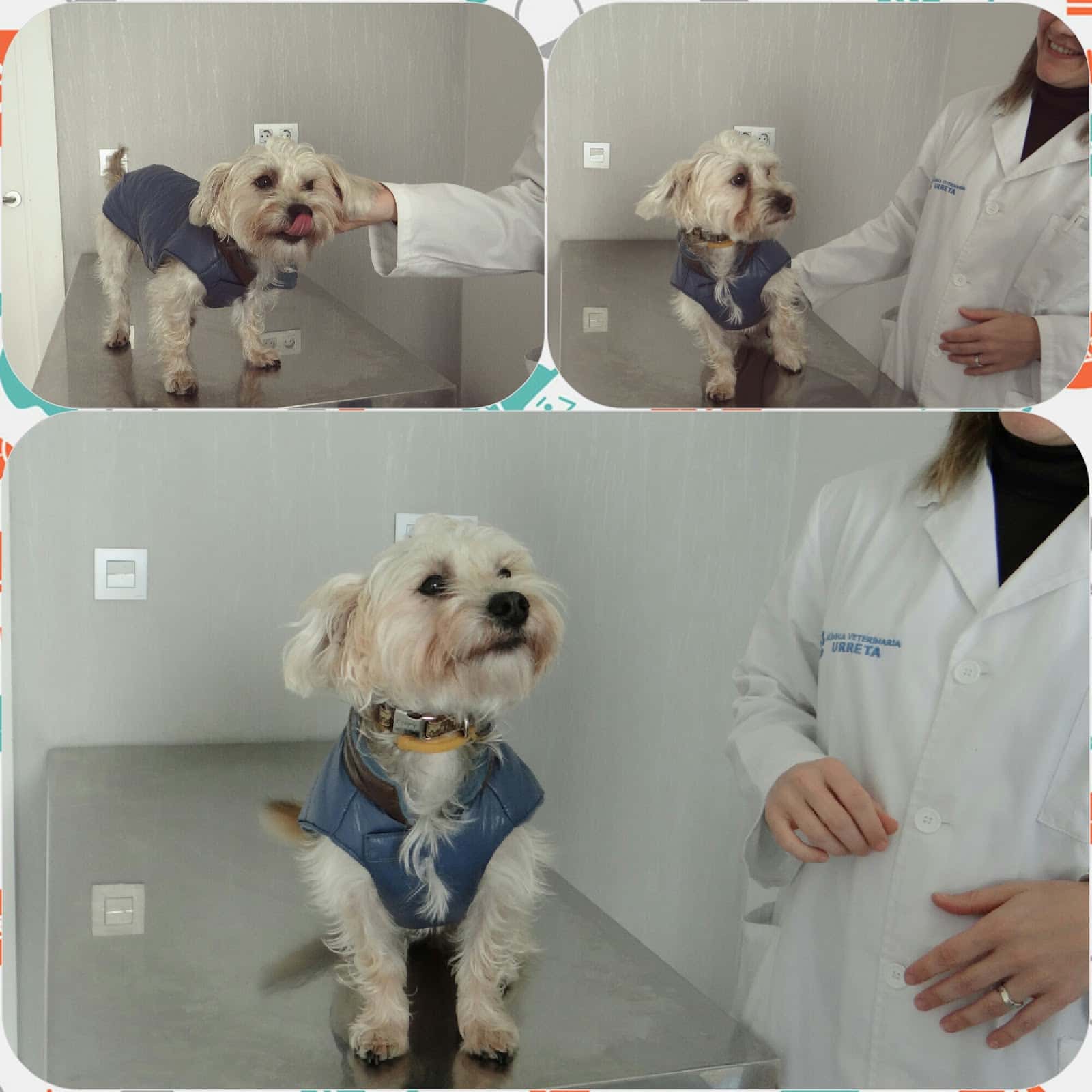 Clínica Veterinaria Urreta
