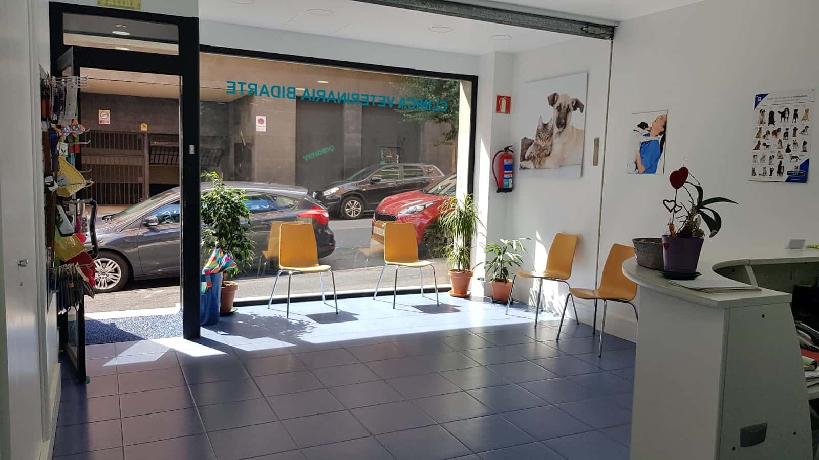 Clinica Veterinaria Bidarte - Deustu