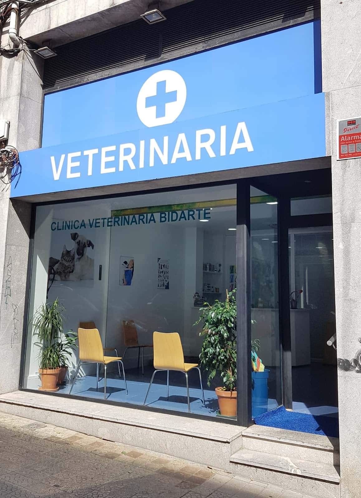 Clinica Veterinaria Bidarte - Deustu
