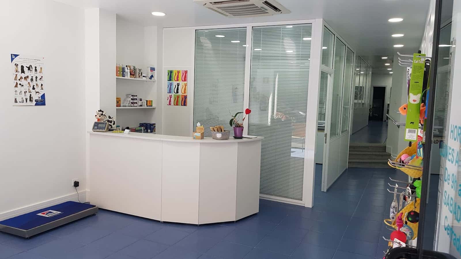 clinica veterinaria bidarte   deustu veterinario clinica en bilbo en bizkaia principalImage ADOPTA Sitios Pet Friendly