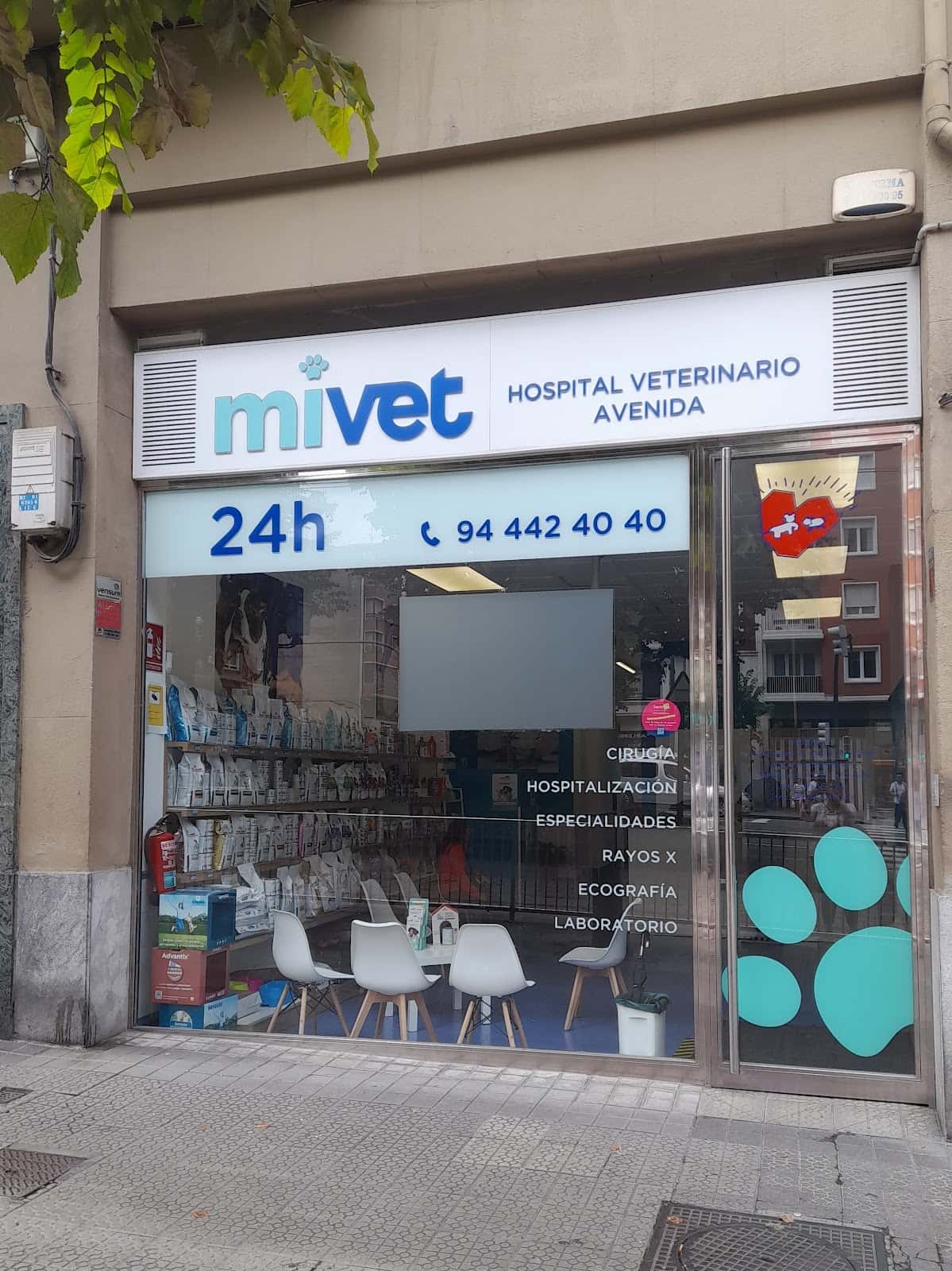 Hospital Veterinario Avenida | MiVet