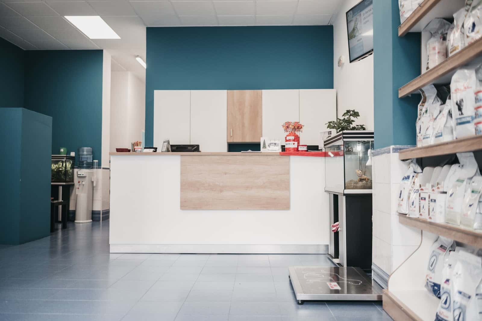 Hospital Veterinario Avenida | MiVet