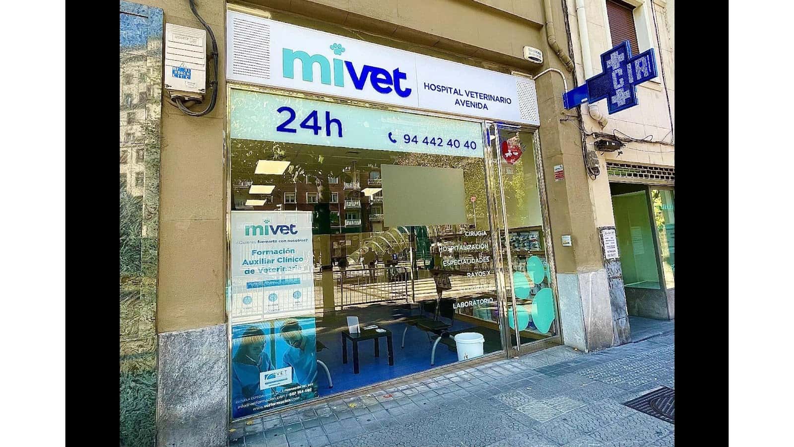 hospital veterinario avenida  mivet veterinario hospital en bilbo en bizkaia principalImage ADOPTA Sitios Pet Friendly