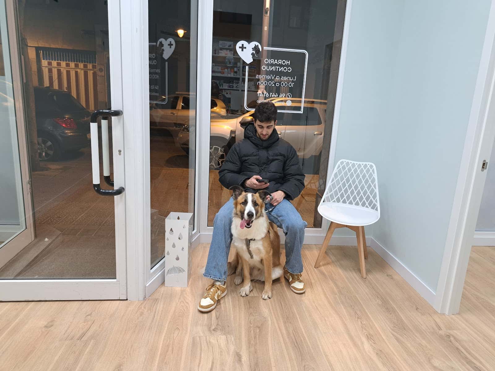 green vet clinica veterinaria veterinario clinica en bilbo en bizkaia principalImage ADOPTA Sitios Pet Friendly