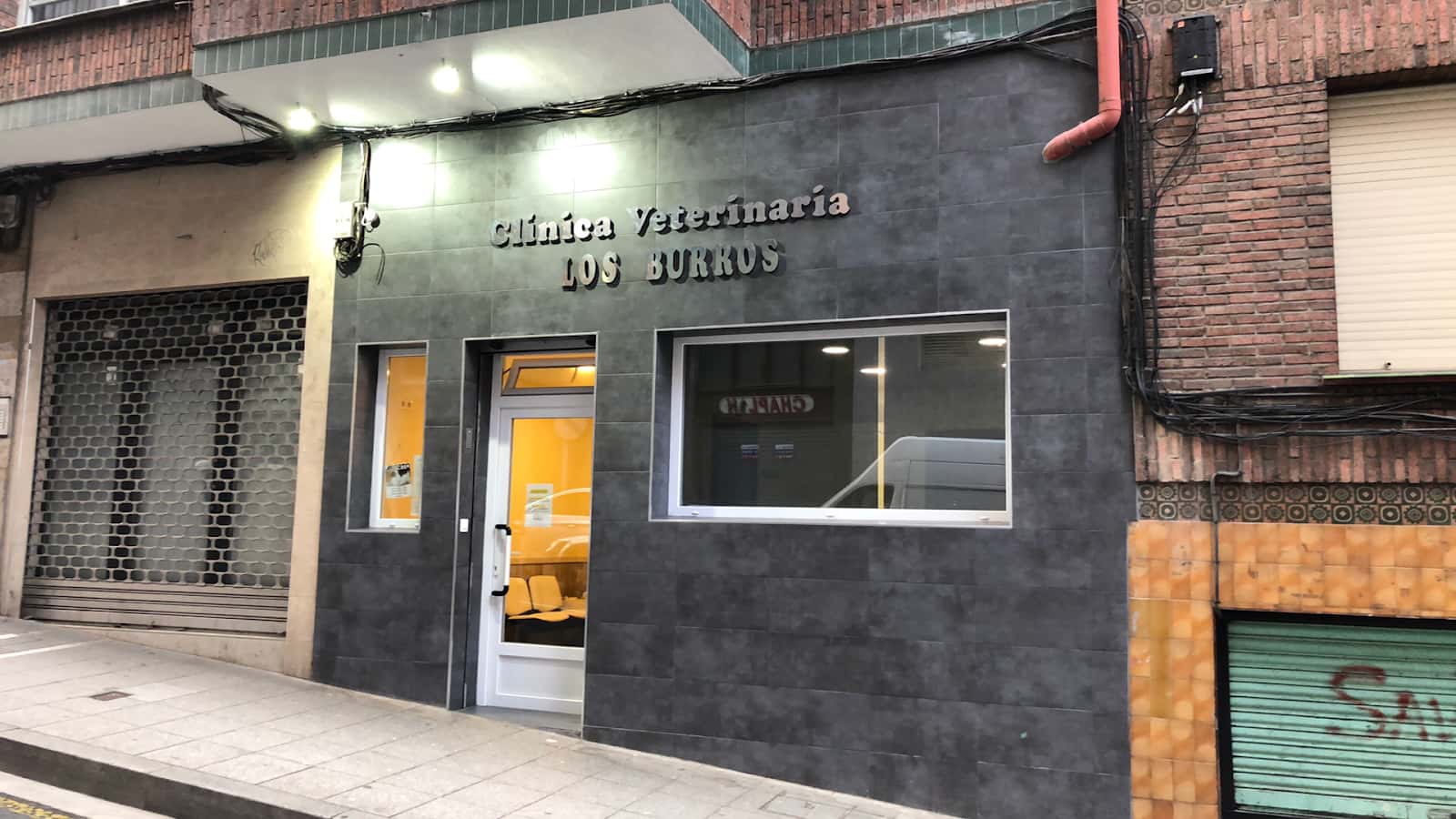 clinica veterinaria los burros veterinario clinica en basauri en bizkaia principalImage ADOPTA Sitios Pet Friendly