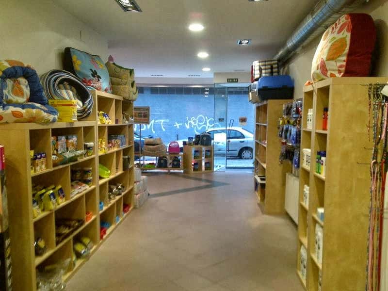 clinica veterinaria soloarte veterinario clinica en basauri en bizkaia principalImage ADOPTA Sitios Pet Friendly