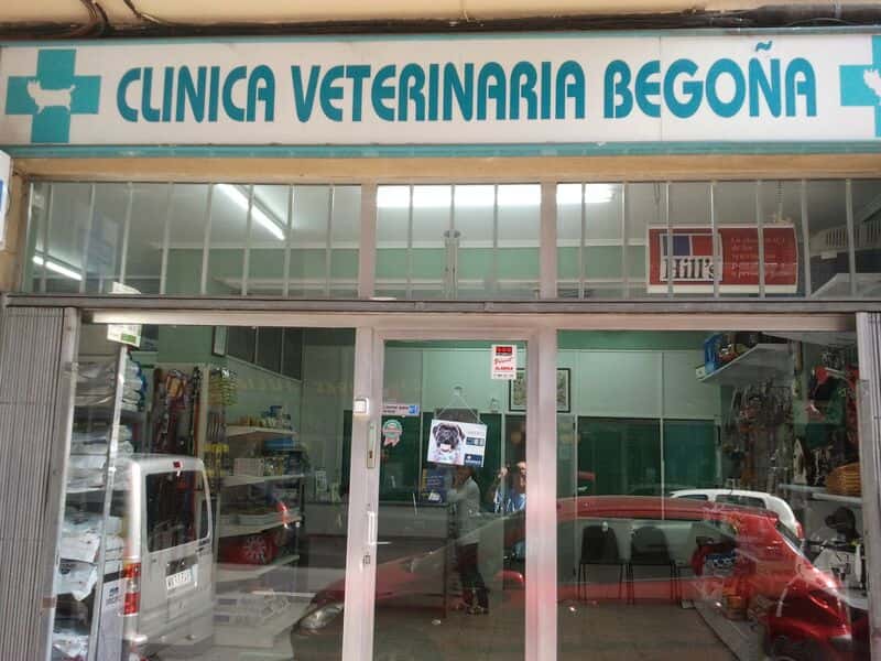 clinica veterinaria begona veterinario clinica en bilbo en bizkaia principalImage ADOPTA Sitios Pet Friendly