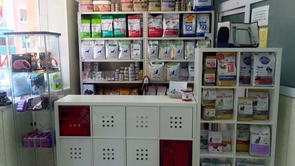 abereen clinica santutxu veterinario clinica en bilbo en bizkaia principalImage ADOPTA Sitios Pet Friendly