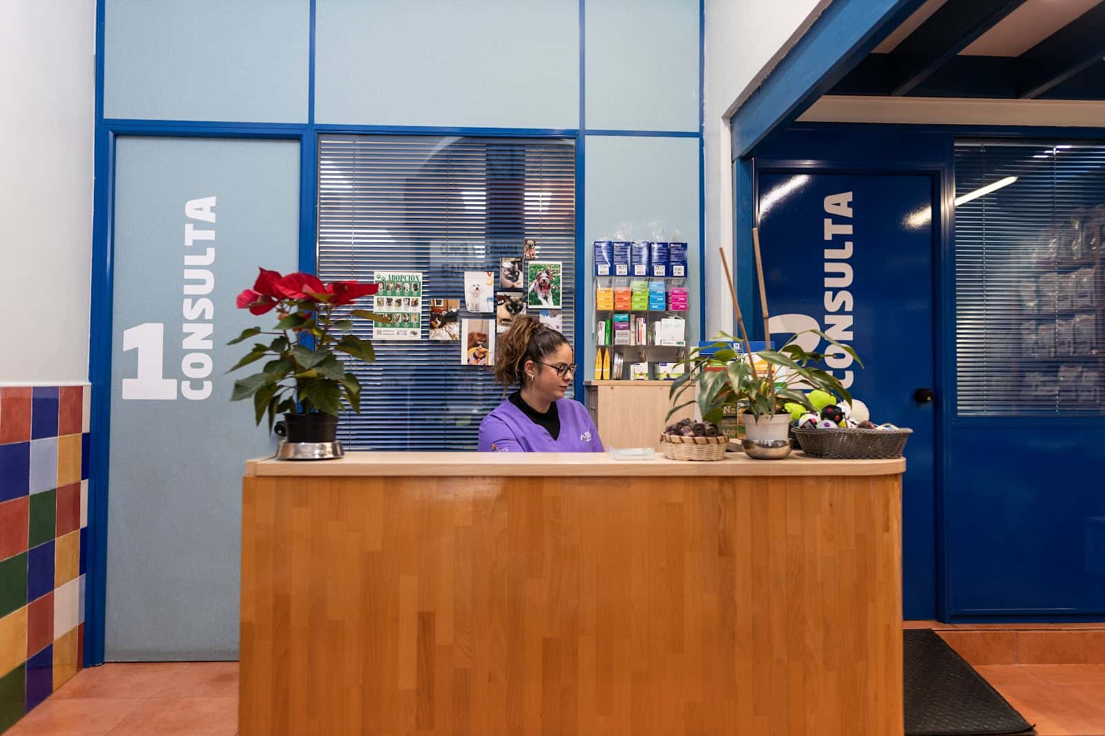 clinica veterinaria ensanche veterinario clinica en bilbo en bizkaia principalImage ADOPTA Sitios Pet Friendly