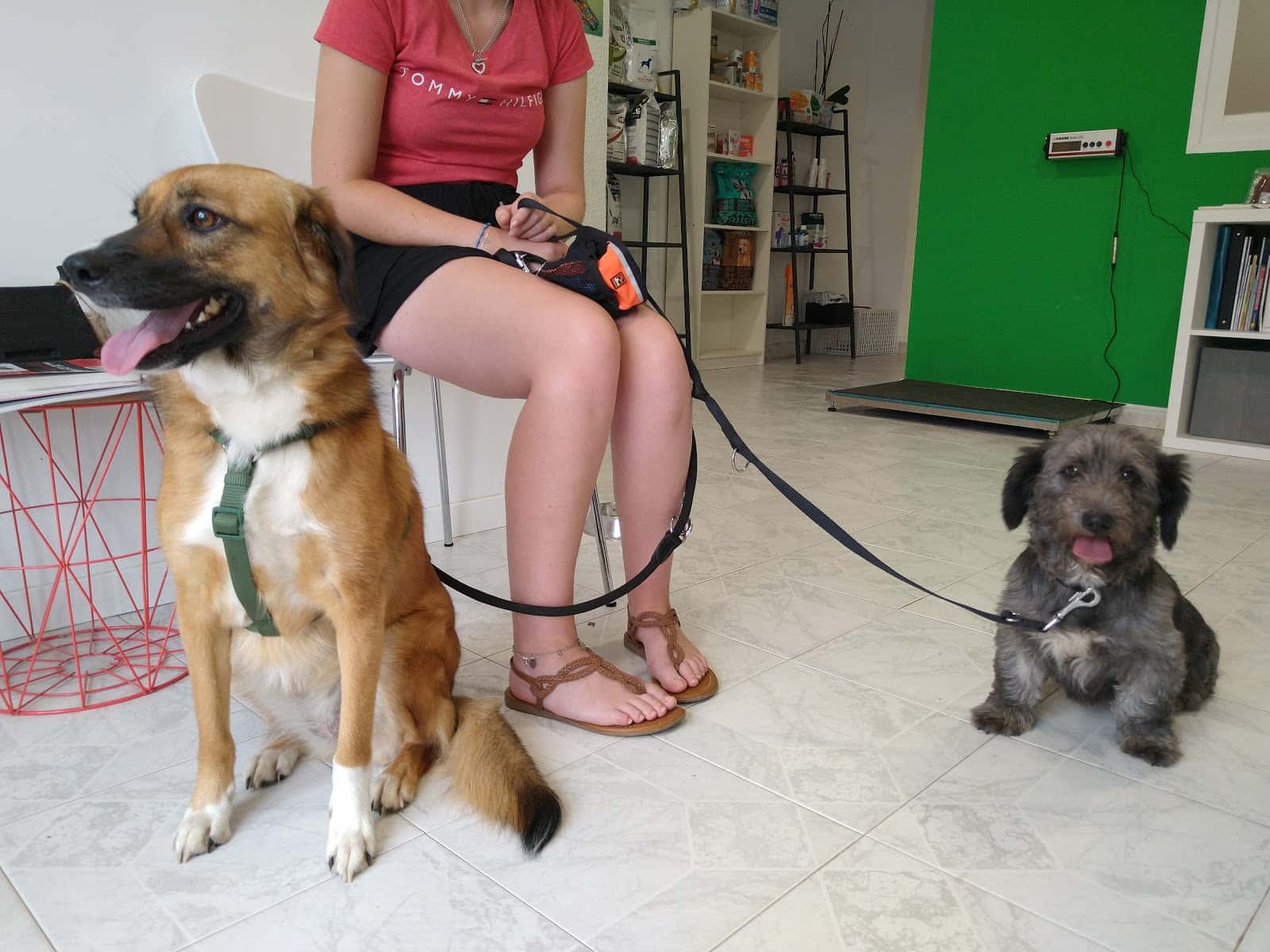 Centro Veterinario Manchuela