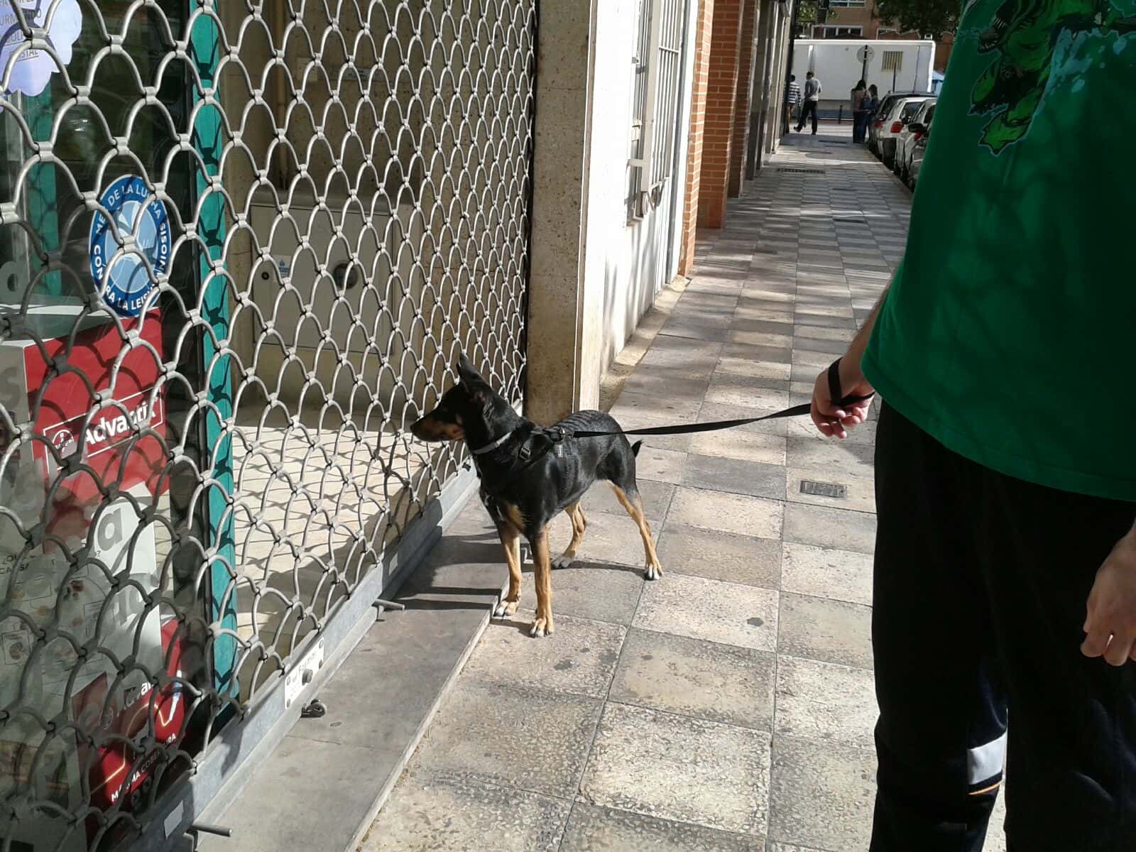 Clínica Veterinaria Al-Beitar