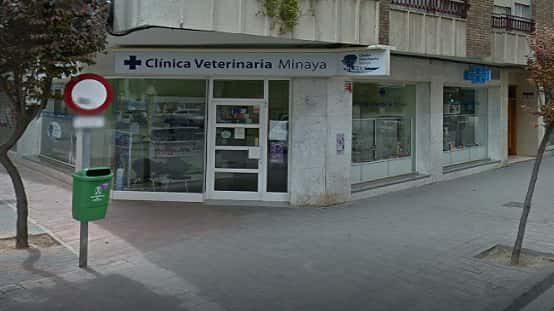 clinica veterinaria minaya veterinario clinica barrio albacete en albacete en albacete principalImage ADOPTA Sitios Pet Friendly