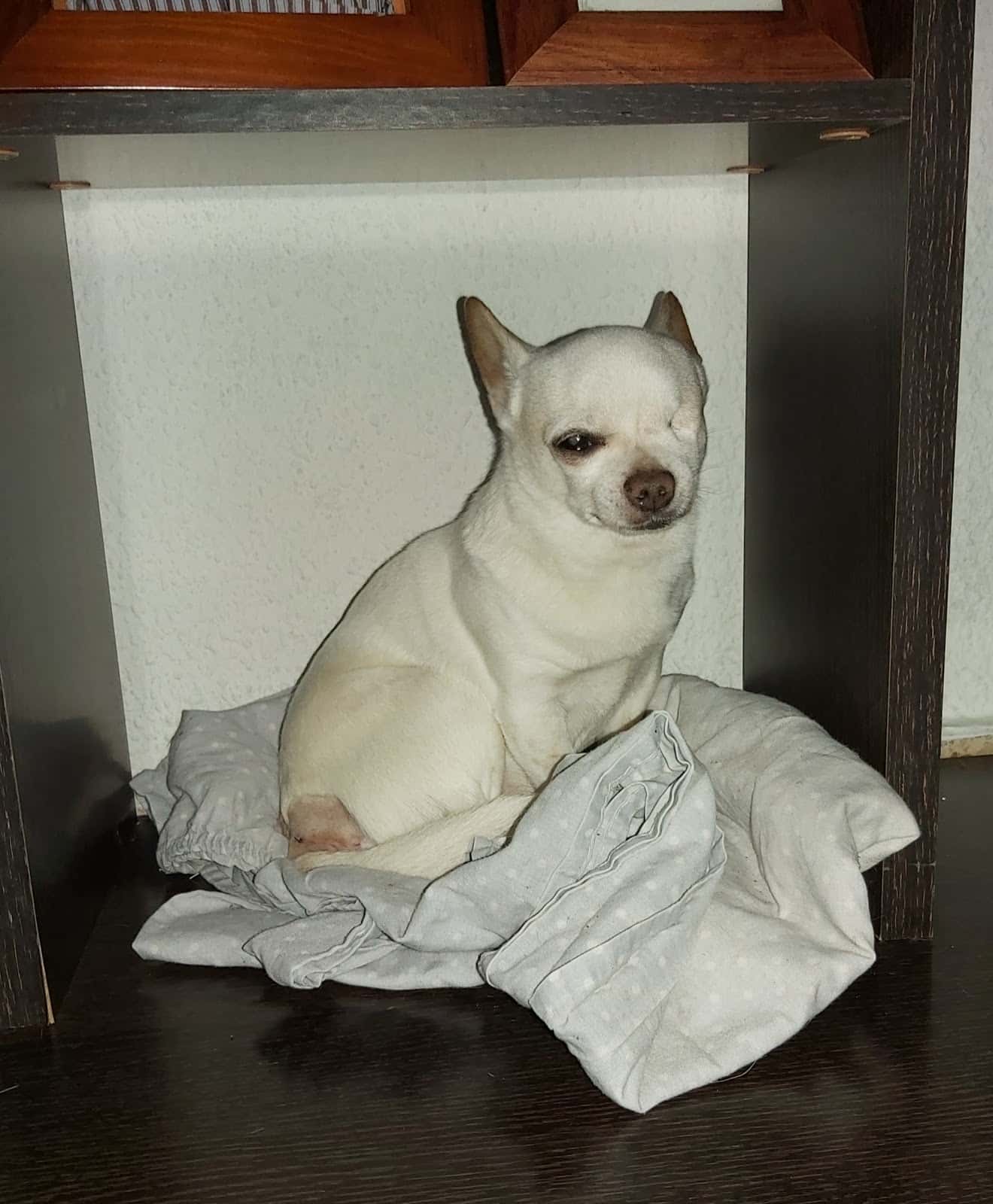 Clínica Veterinaria Teckel