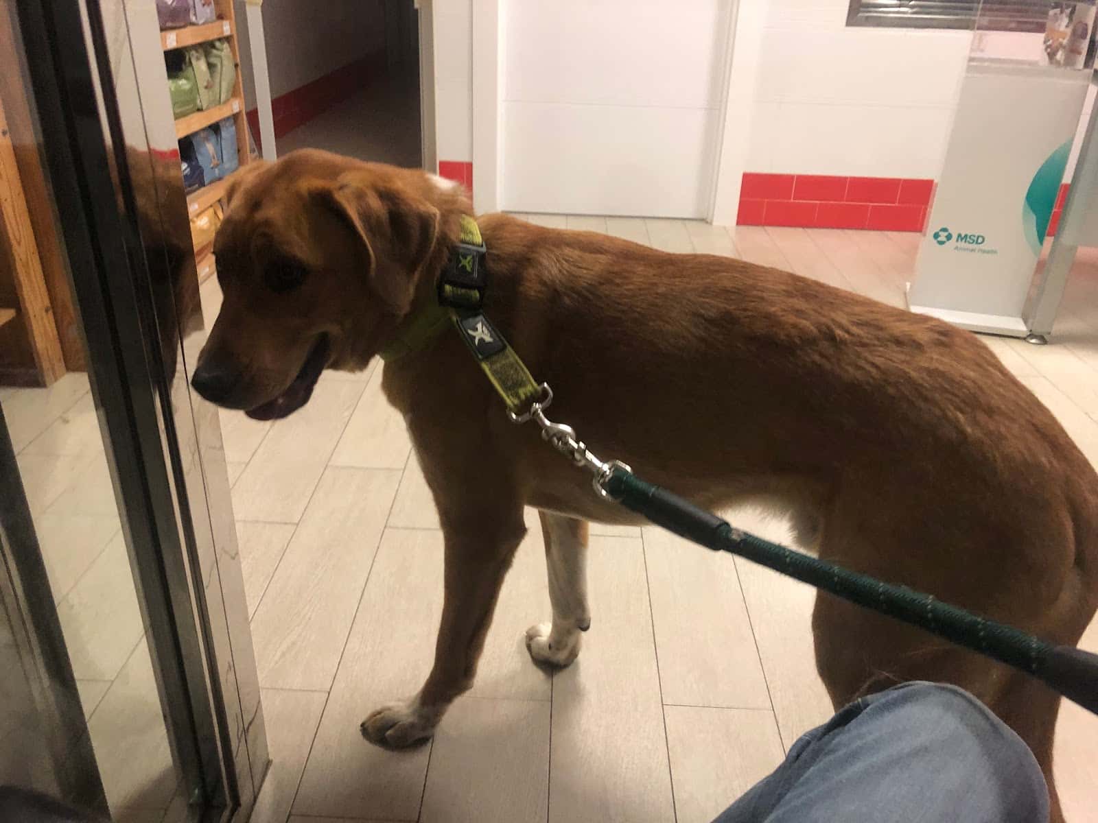 Clínica Veterinaria Teckel