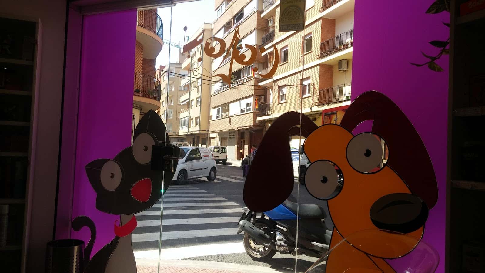 Clínica Veterinaria Colón