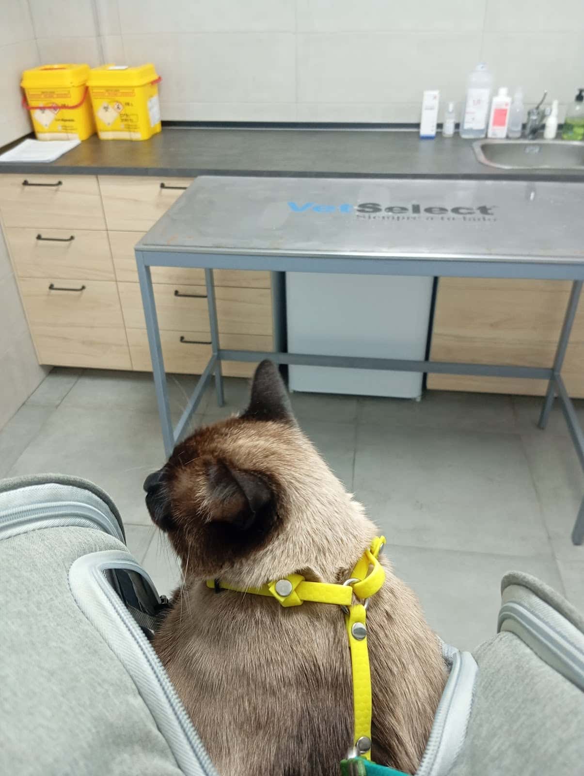 Centro Veterinario Fátima