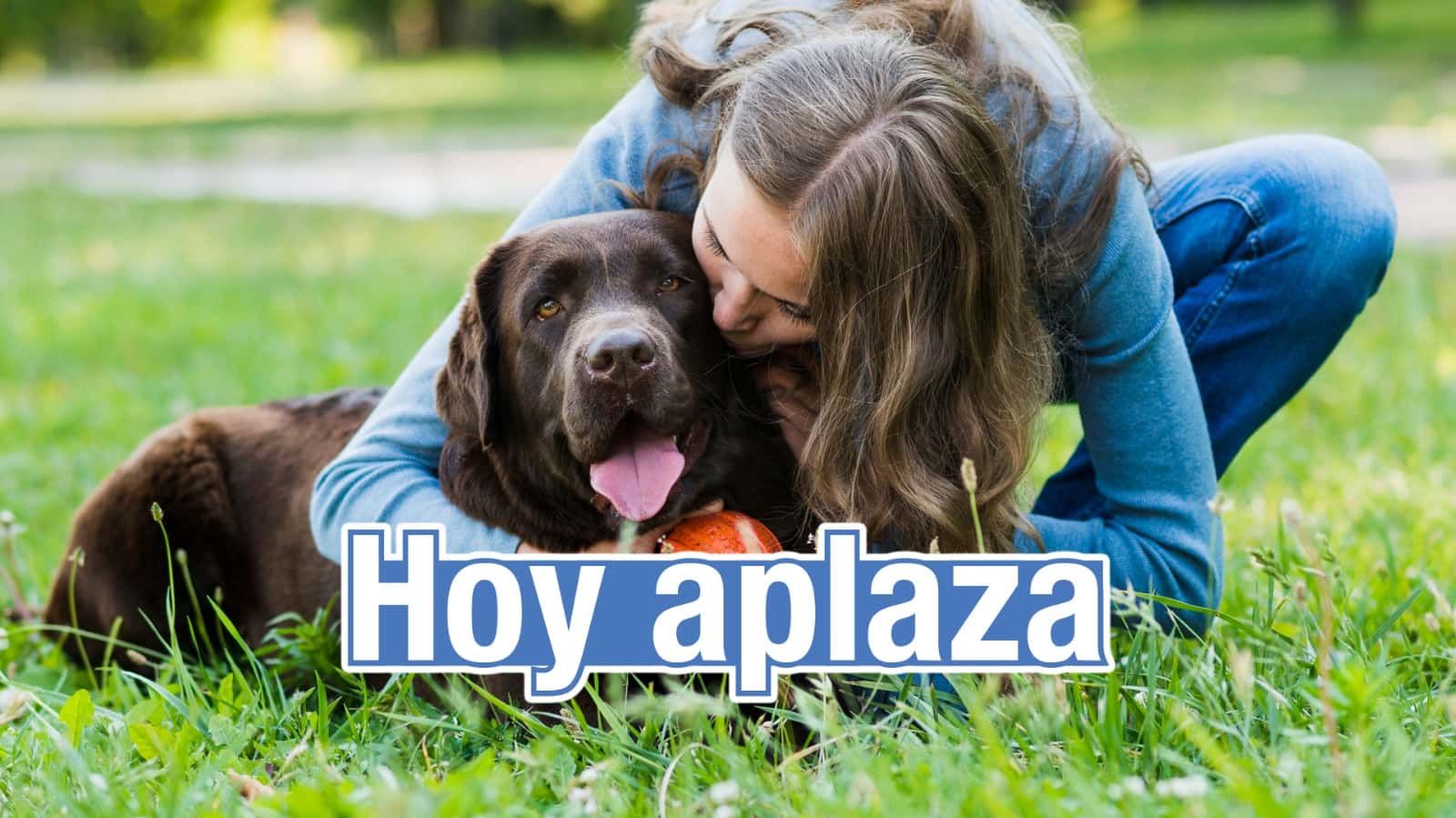CONSULTA VETERINARIA Dr. Gerardo IBÁÑEZ SÁNCHEZ