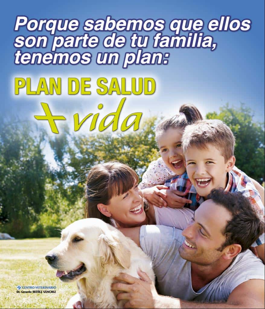 CONSULTA VETERINARIA Dr. Gerardo IBÁÑEZ SÁNCHEZ
