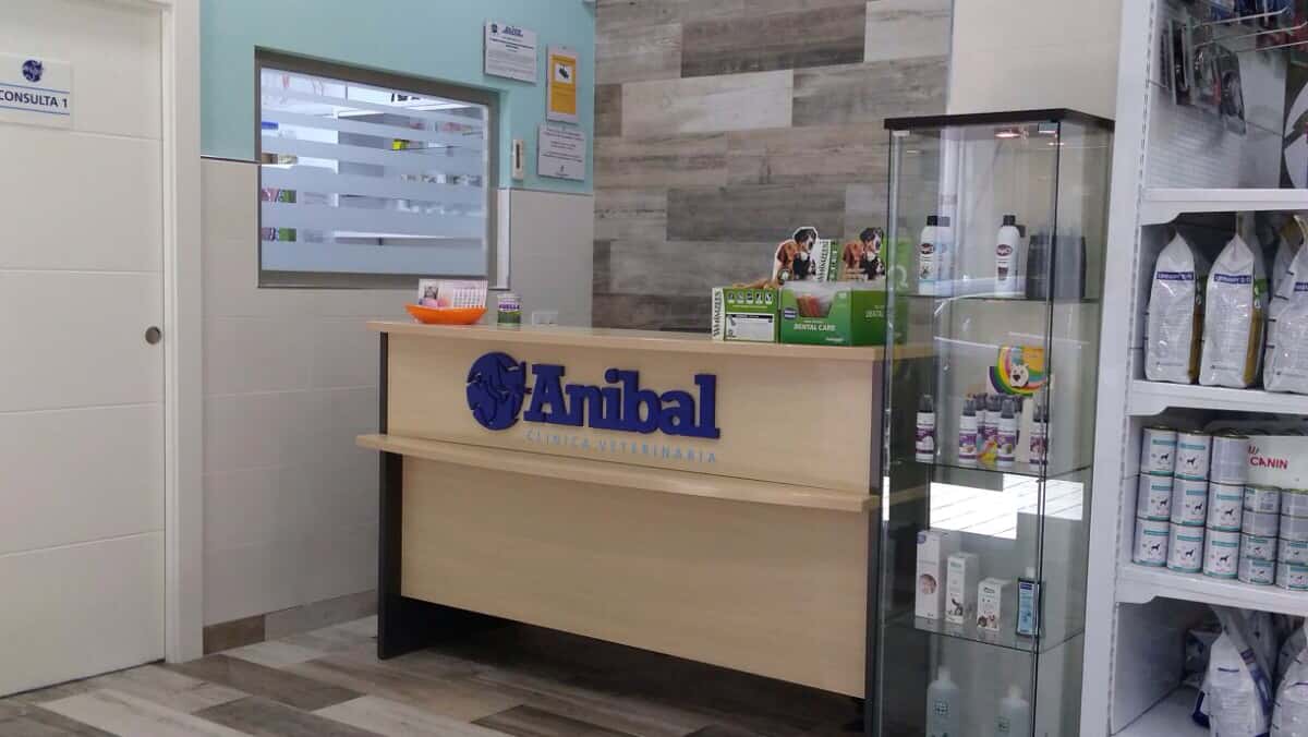 clinica veterinaria anibal veterinario clinica barrio albacete en albacete en albacete principalImage ADOPTA Sitios Pet Friendly
