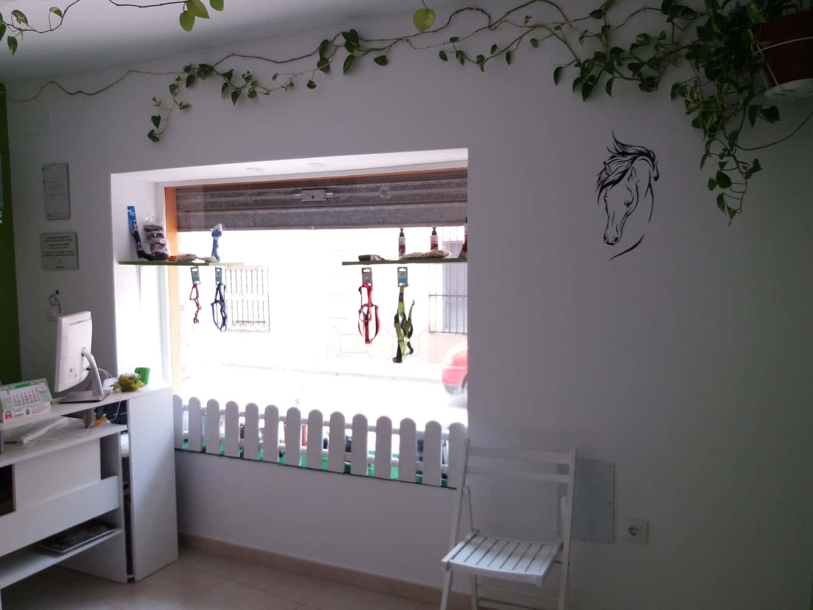 Consultorio Veterinario San Isidro