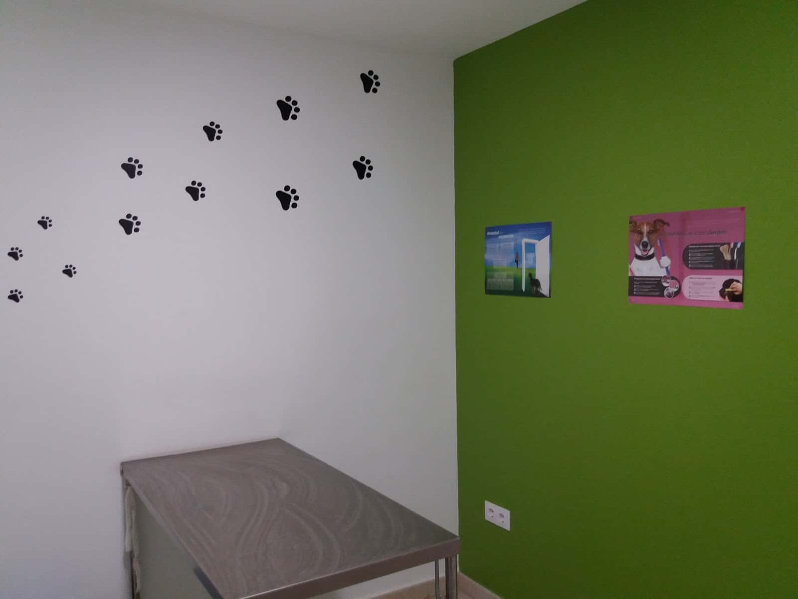 Consultorio Veterinario San Isidro