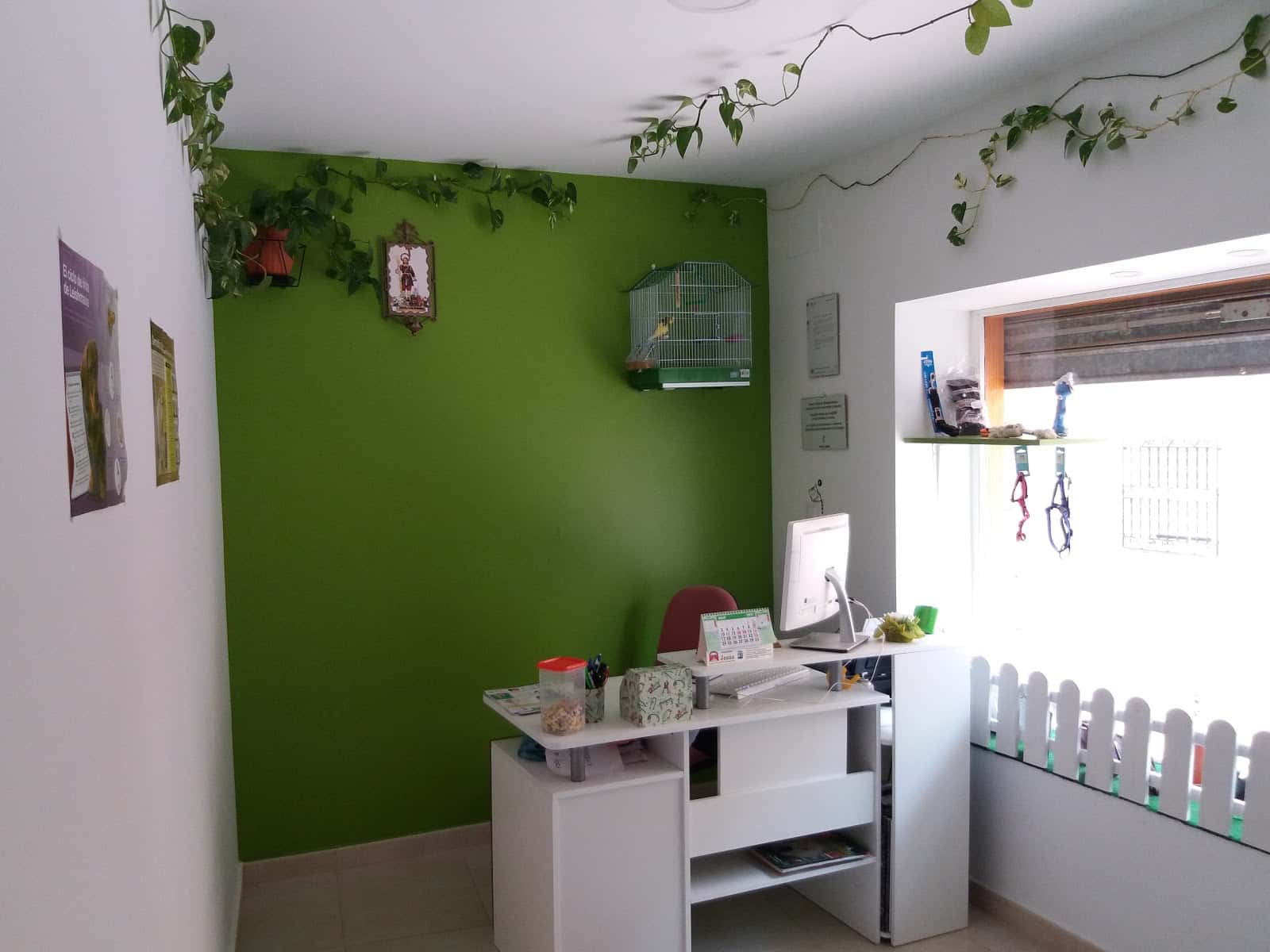 consultorio veterinario san isidro veterinario centro en alcadozo en albacete principalImage ADOPTA Sitios Pet Friendly