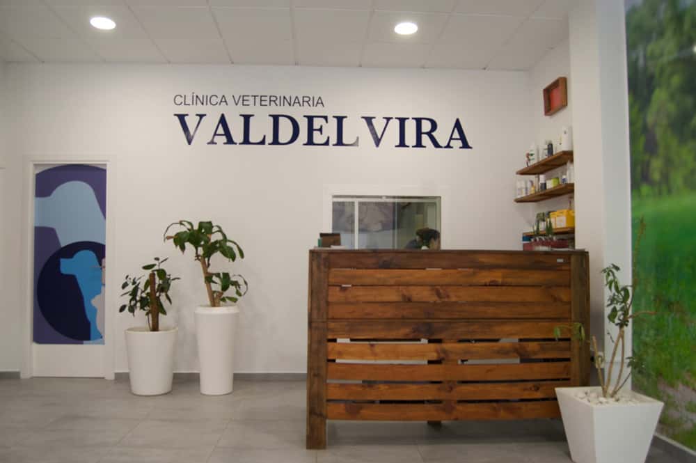 clinica veterinaria valdelvira veterinario clinica en almansa en albacete principalImage ADOPTA Sitios Pet Friendly
