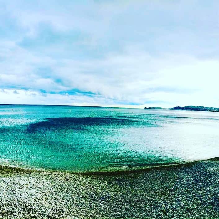 Centro Veterinario Clar de Alba