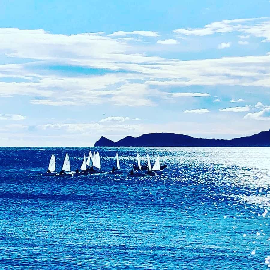 Centro Veterinario Clar de Alba