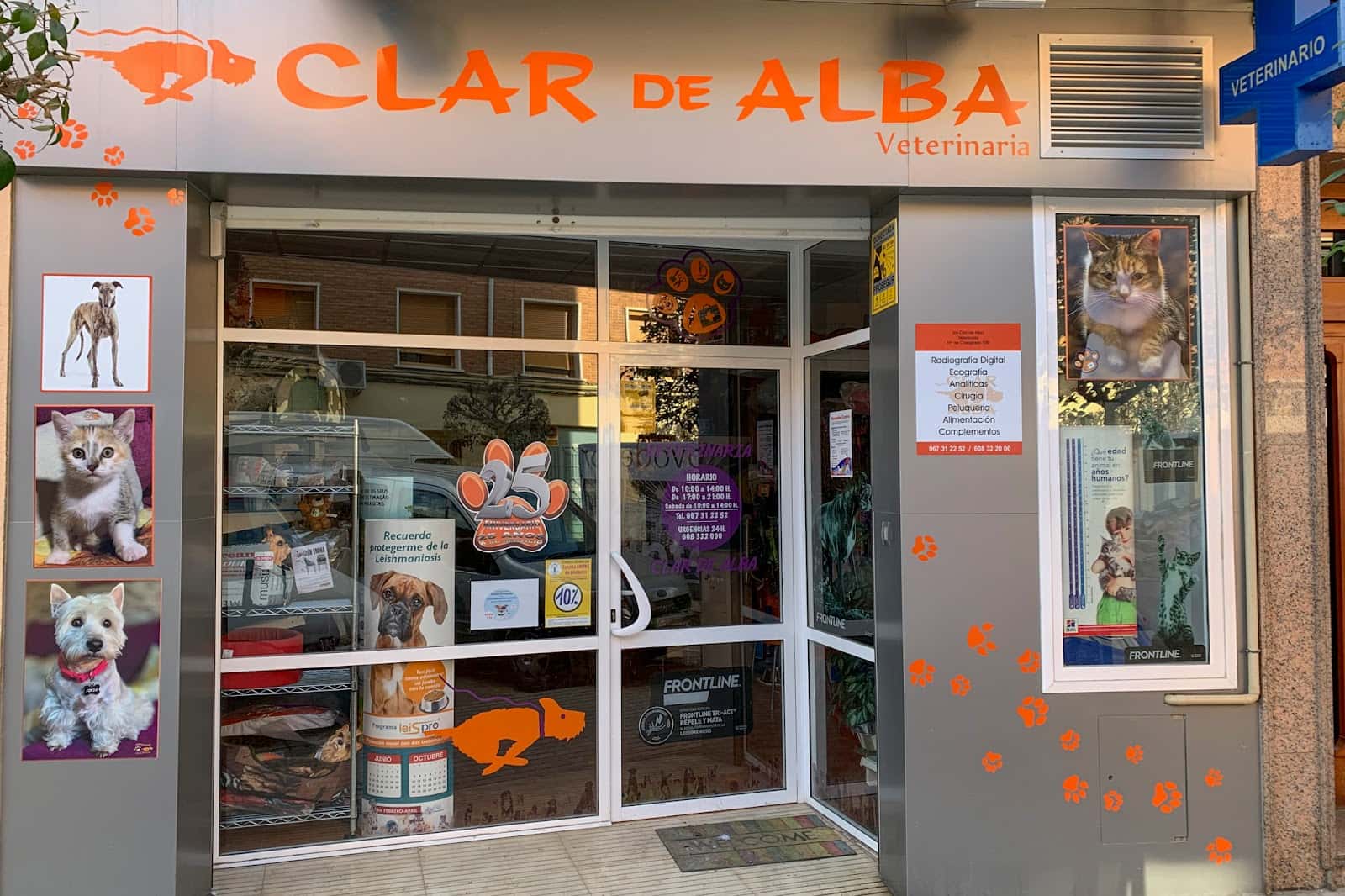 centro veterinario clar de alba veterinario centro en almansa en albacete principalImage ADOPTA Sitios Pet Friendly
