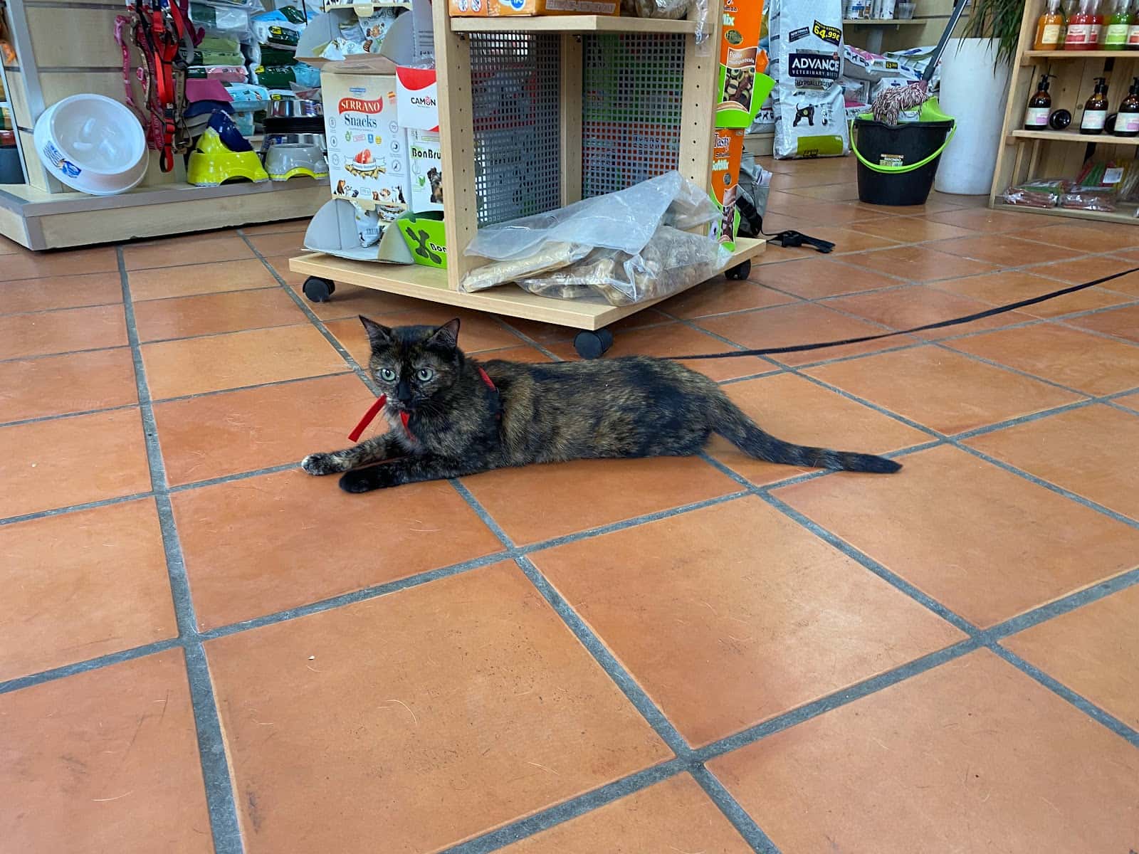 Clínica Veterinaria VETERCAN