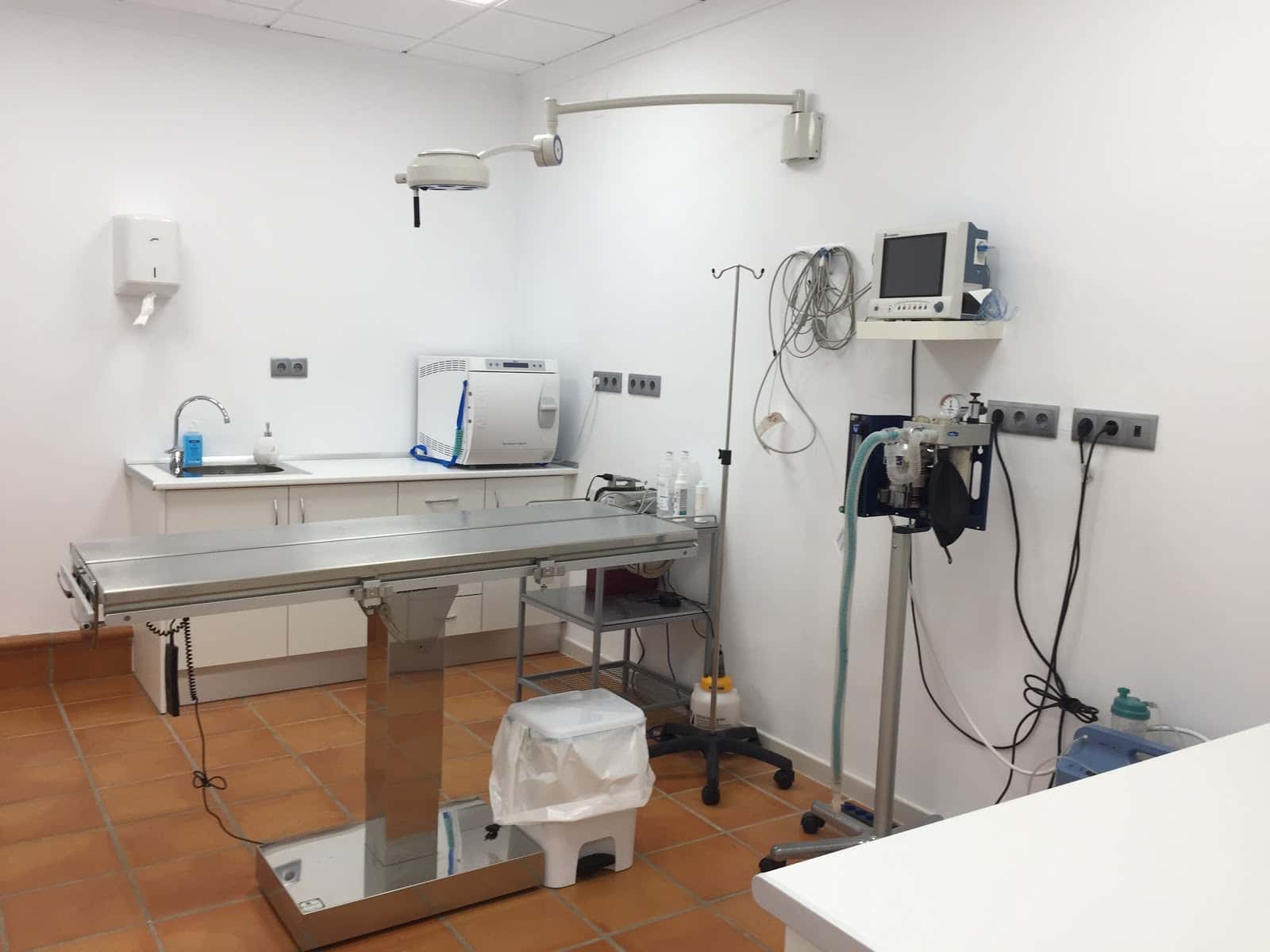 clinica veterinaria vetercan veterinario clinica en almansa en albacete principalImage ADOPTA Sitios Pet Friendly