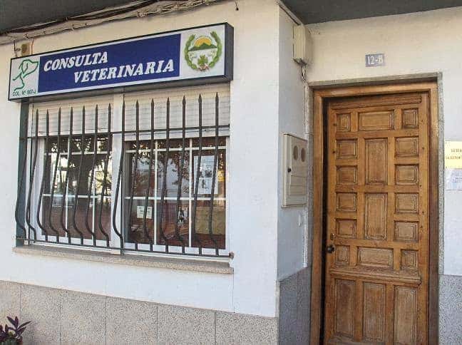 azuvet   veterinaria veterinario centro en siles en jaen principalImage ADOPTA Sitios Pet Friendly