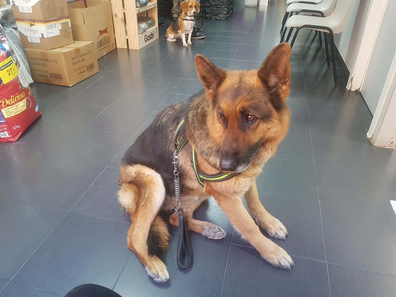 Clínica Veterinaria Huellas