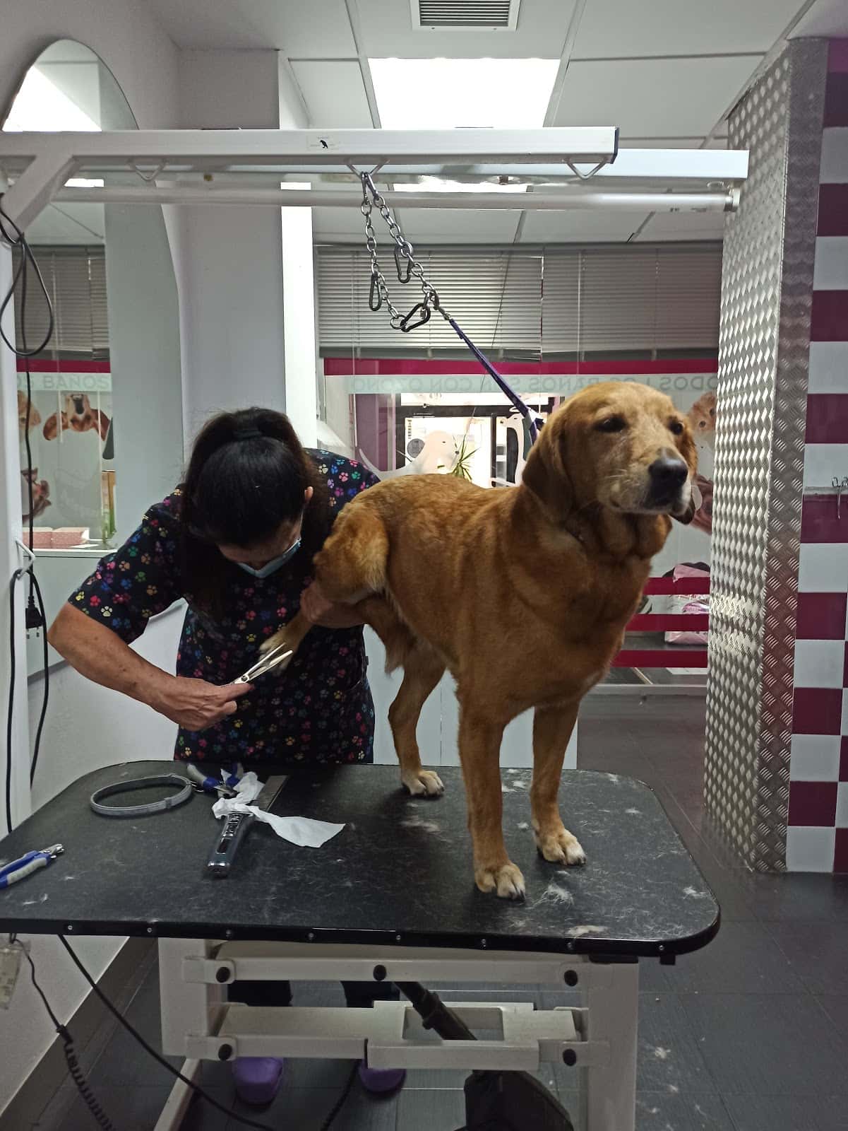 Clínica Veterinaria Huellas