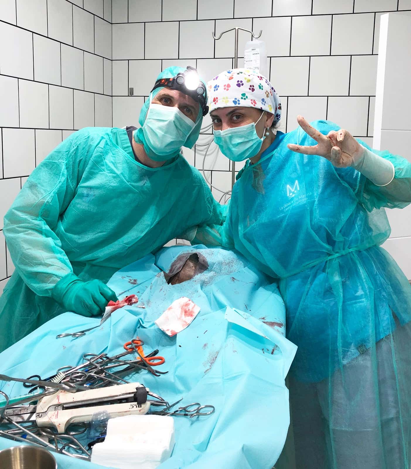 Clínica Veterinaria Cervantes