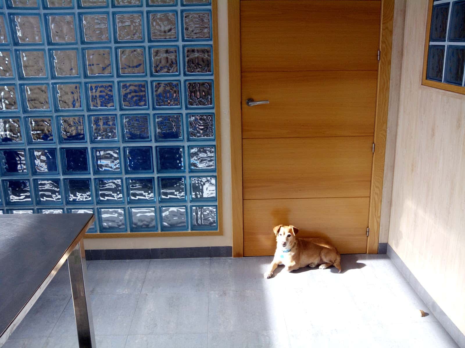 Veterinaria El Amparo Cb La Roda