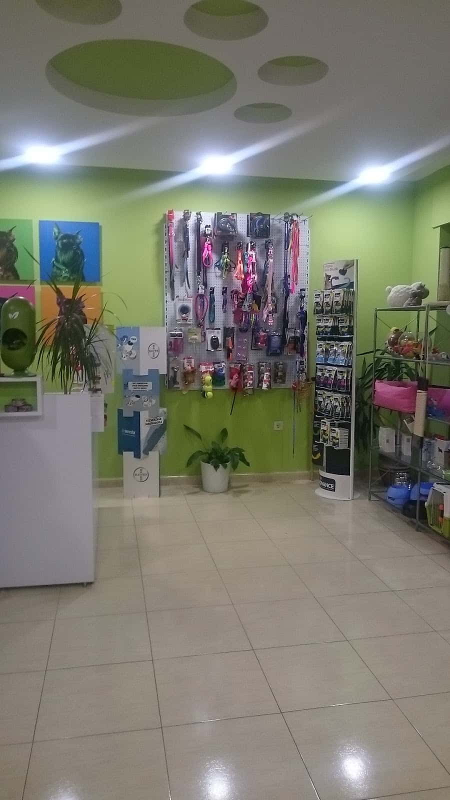 Clínica Veterinaria Hellín