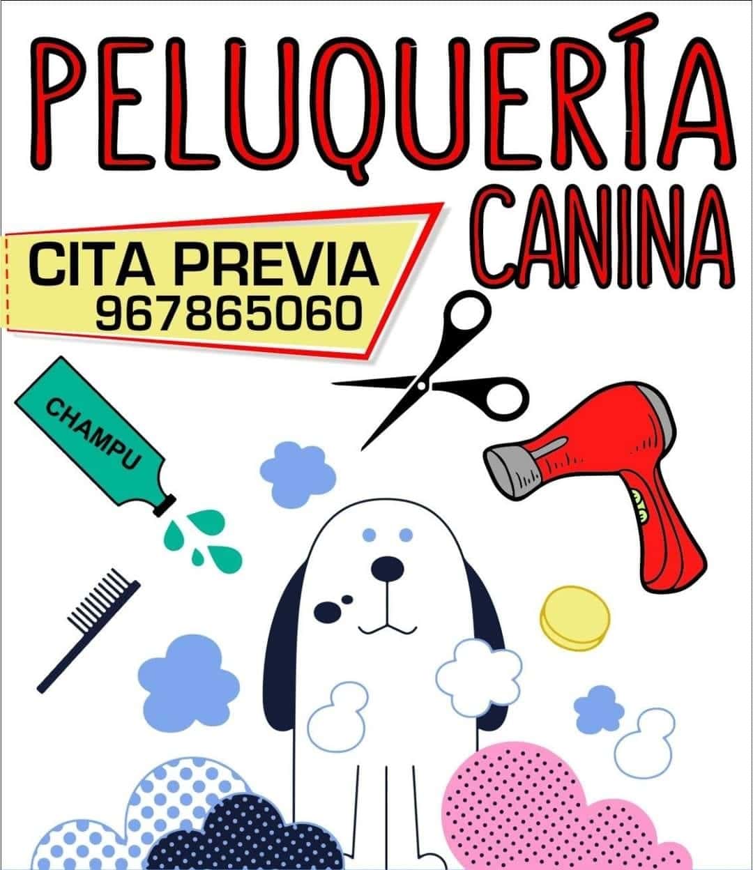 Clínica Veterinaria Indian