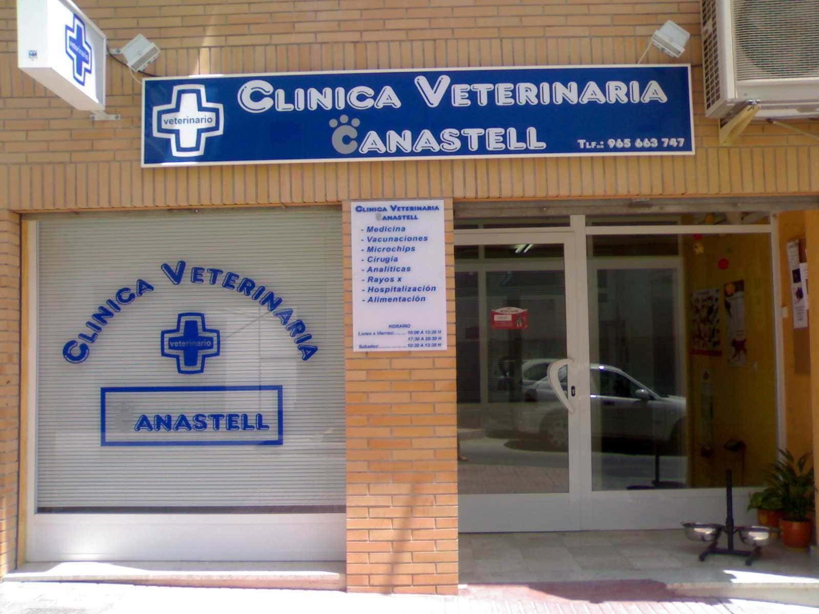 clinica veterinaria canastell veterinario clinica en san vicente del raspeig en alicante principalImage ADOPTA Sitios Pet Friendly