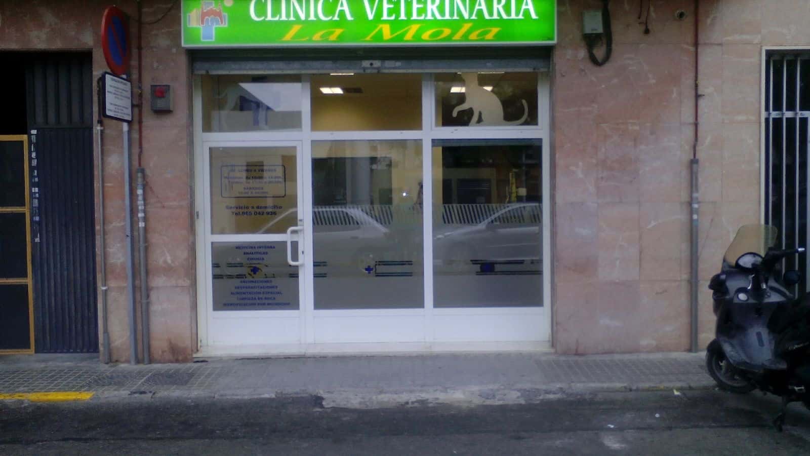 clinica veterinaria la mola veterinario clinica en novelda en alicante principalImage ADOPTA Sitios Pet Friendly