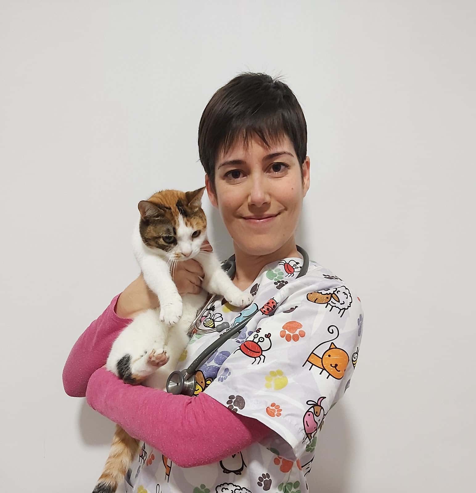veterinaria sorolla veterinario centro en sant vicent del raspeig en alicante principalImage ADOPTA Sitios Pet Friendly