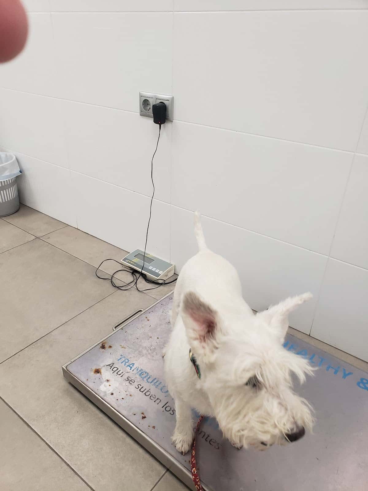 Clínica Veterinària Albeytar