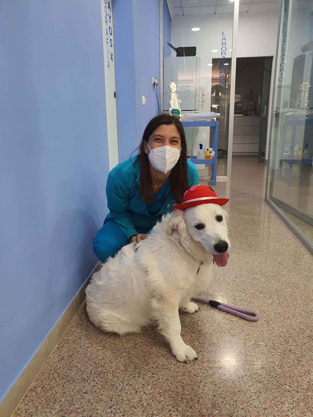 Clinica veterinaria izquierdo