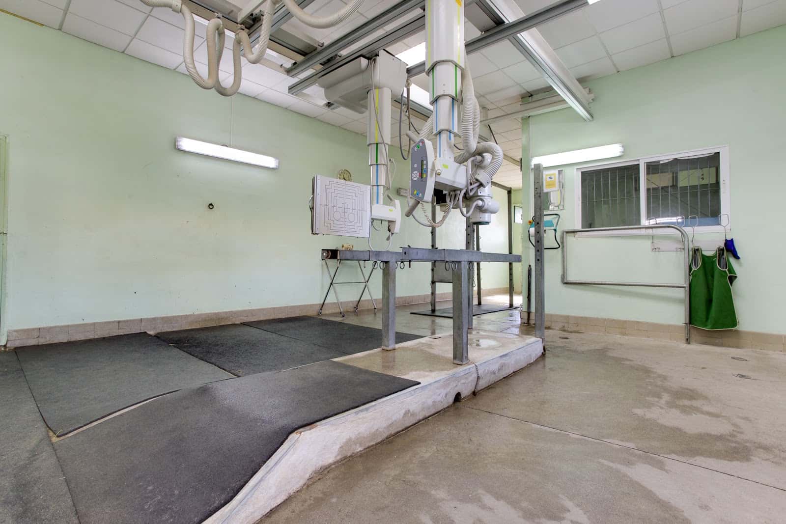 AniCura San Vicente Hospital Veterinario