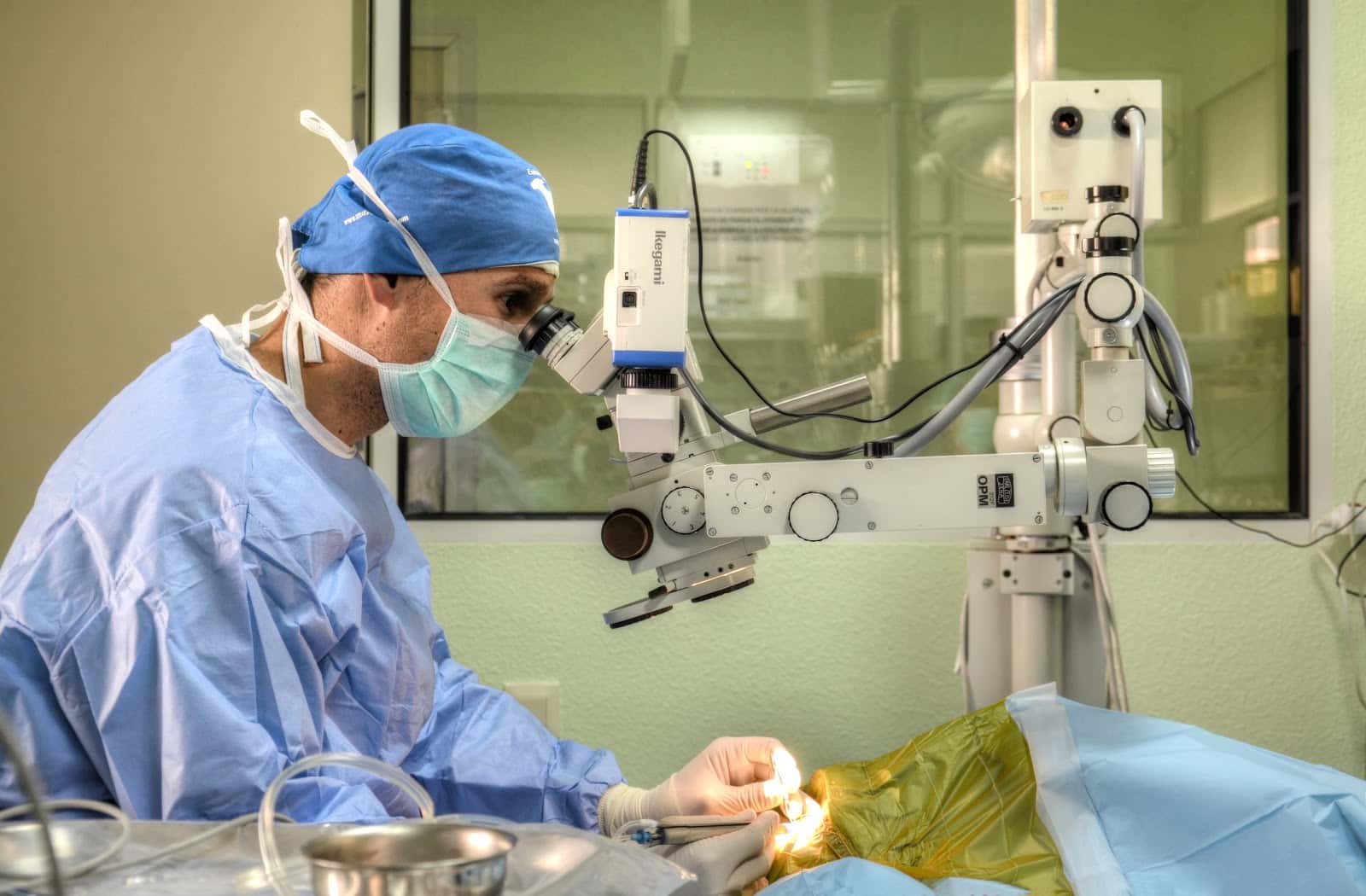 AniCura San Vicente Hospital Veterinario