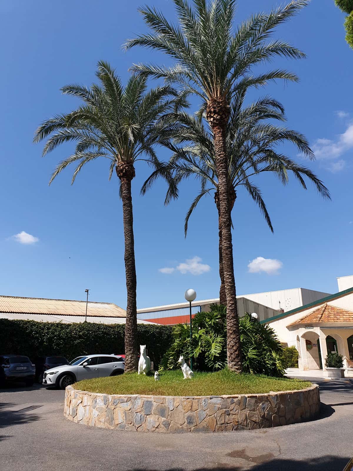 AniCura San Vicente Hospital Veterinario