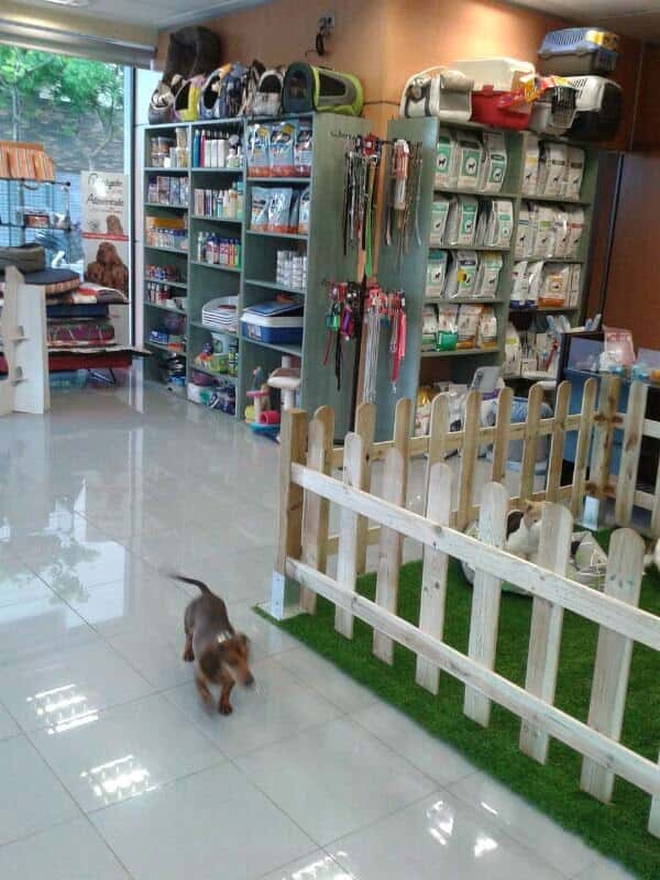 Leucanis Policlínico Veterinario